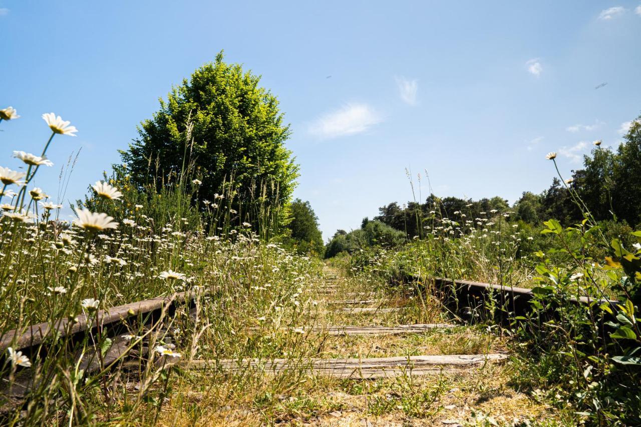 מלון ווינטרסווייק Hofparken Wiltershaar מראה חיצוני תמונה